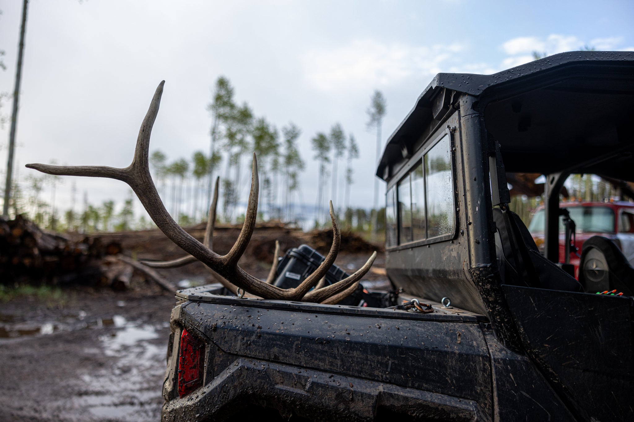 Elk Hunter