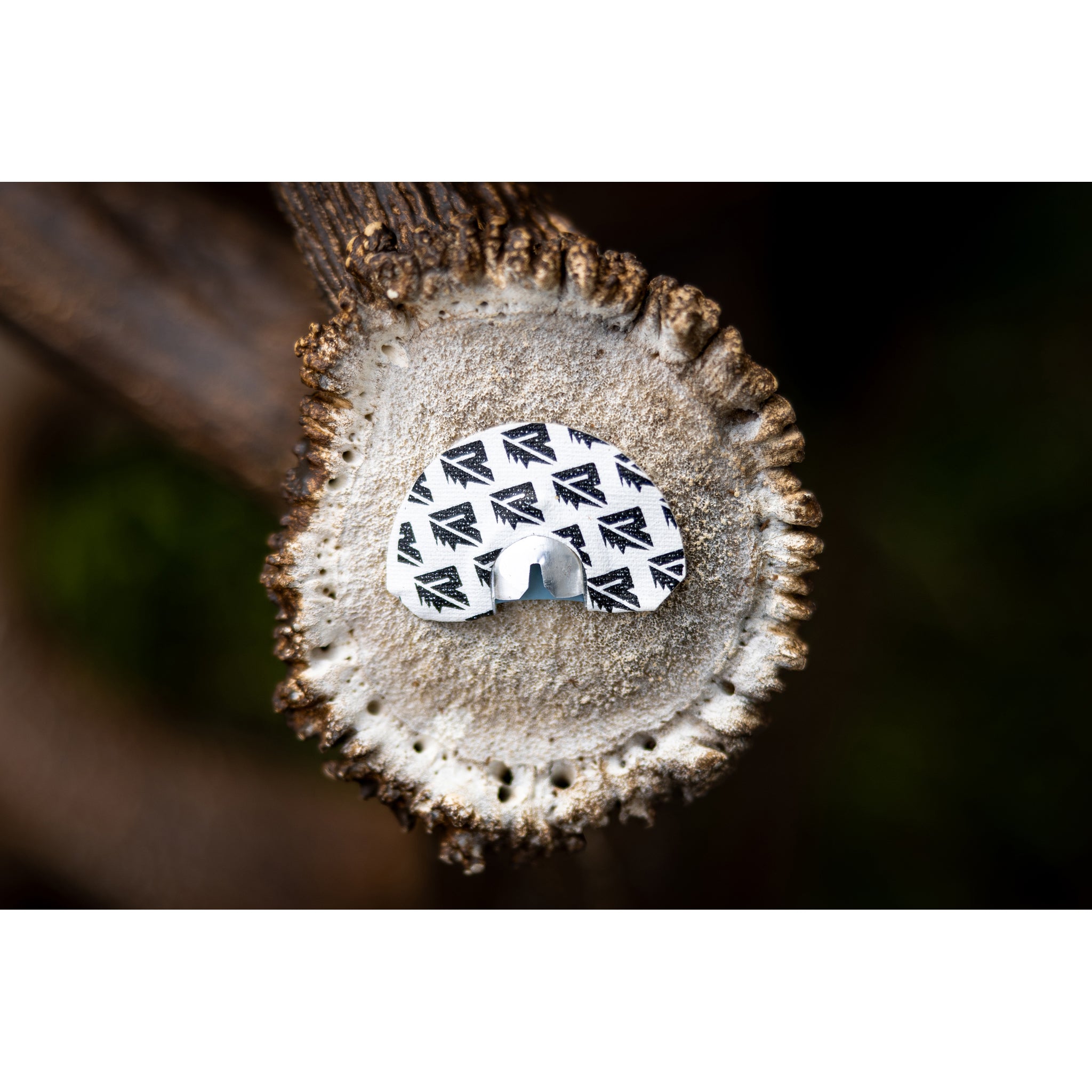 A close-up of a tree stump displays Riven’s Rosie sticker—an oval design with a black and white repeating arrow pattern. Clear tree rings and textured bark surround the sticker, evoking echoes of elk in the forest.