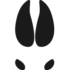 Elk Footprint